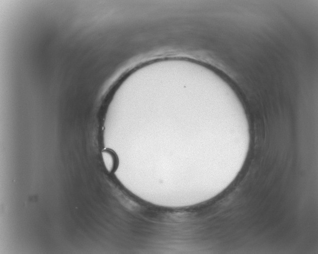 X0000063491502200602031938