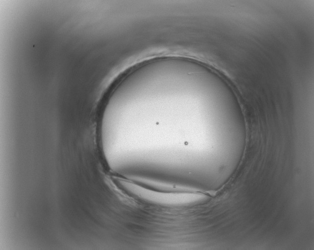 X0000063491503200602031938