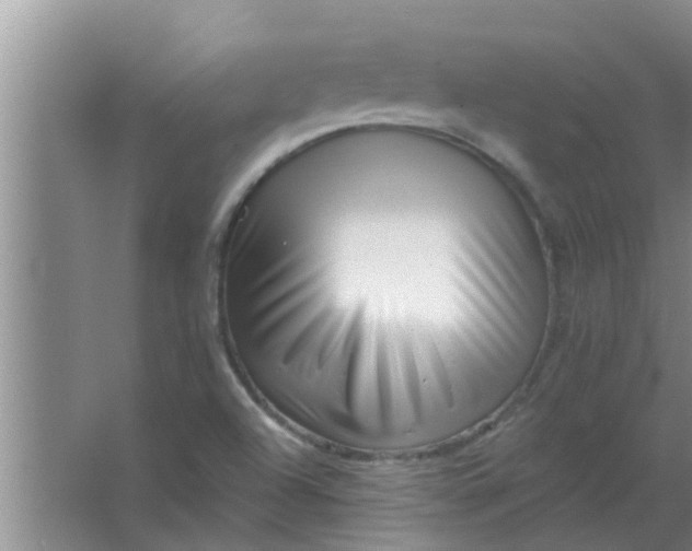 X0000063491504200602031938