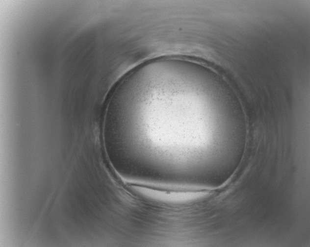 X0000063491505200602031938