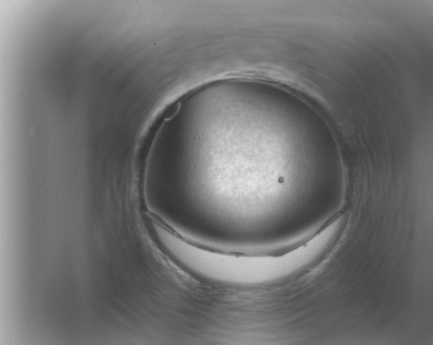 X0000063491506200602031938