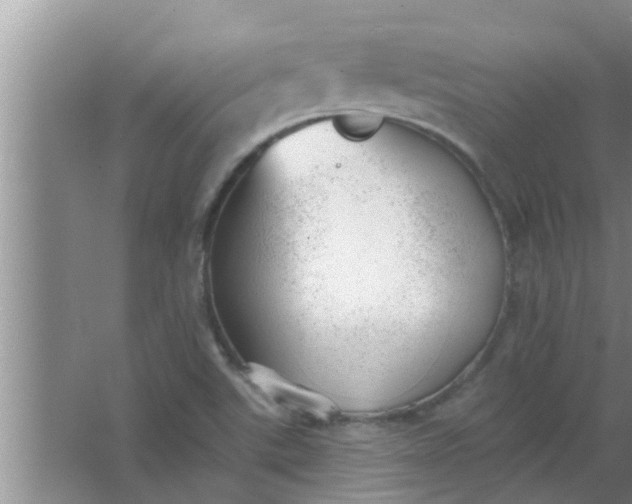 X0000063491507200602031938