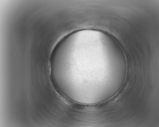 X0000063491509200602031938