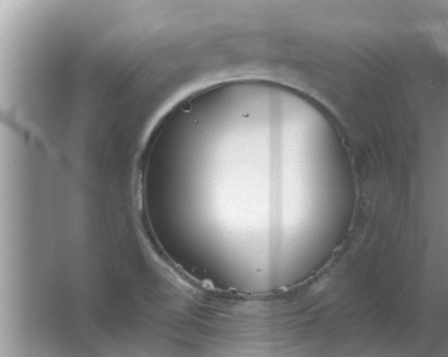 X0000063491510200602031938