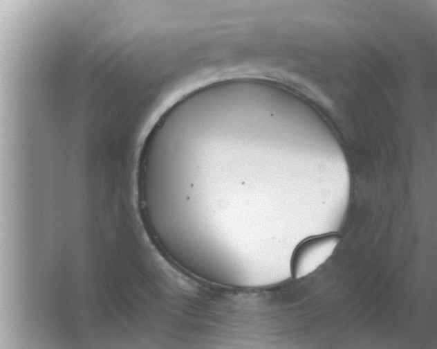 X0000063491512200602031938