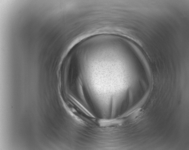 X0000063491515200602031938