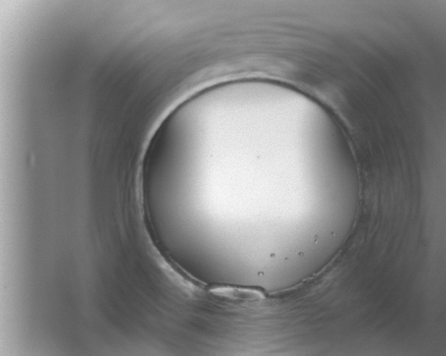 X0000063491516200602031938