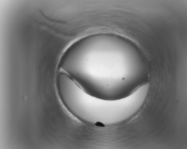 X0000063491518200602031938