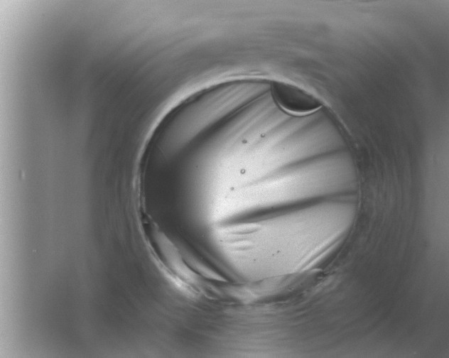 X0000063491519200602031938