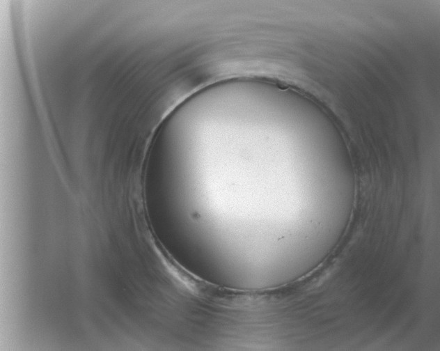 X0000063491521200602031938