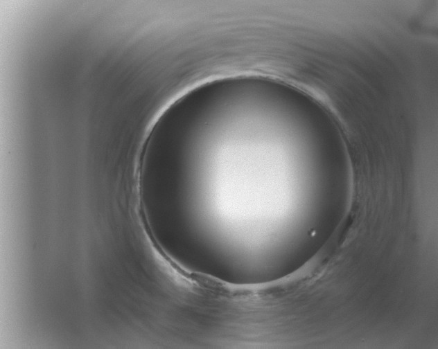 X0000063491524200602031938