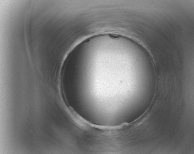 X0000063491525200602031938