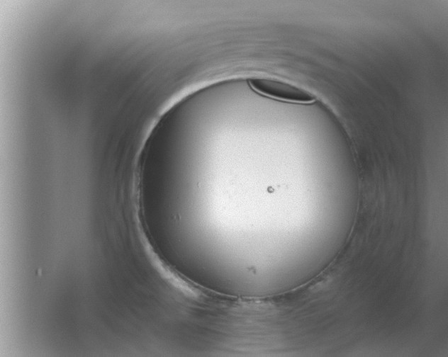 X0000063491526200602031938