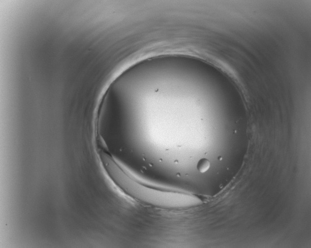 X0000063491528200602031938