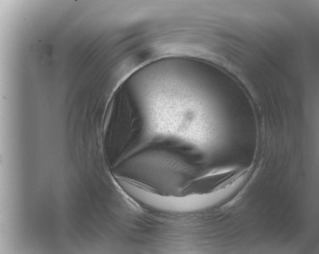 X0000063491529200602031938