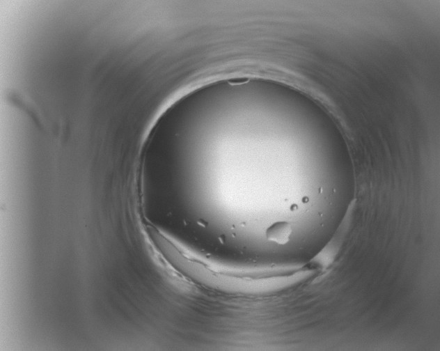 X0000063491530200602031938