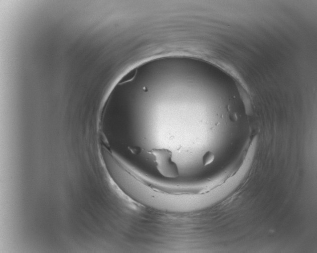 X0000063491532200602031938