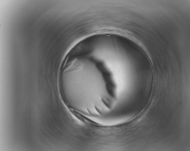 X0000063491533200602031938