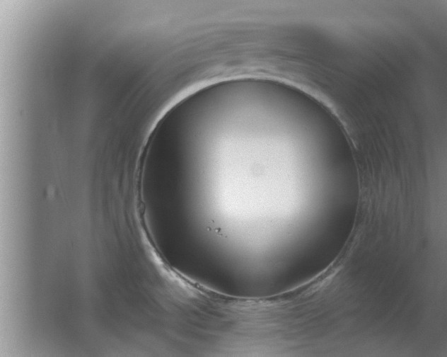 X0000063491534200602031938