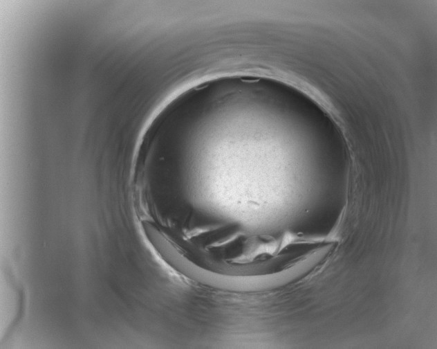 X0000063491536200602031938