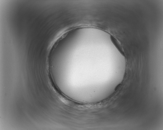 X0000063490005200602101845