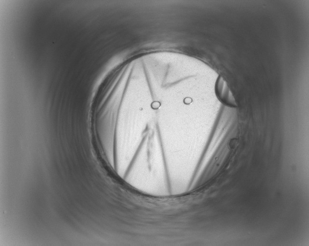 X0000063490006200602101845