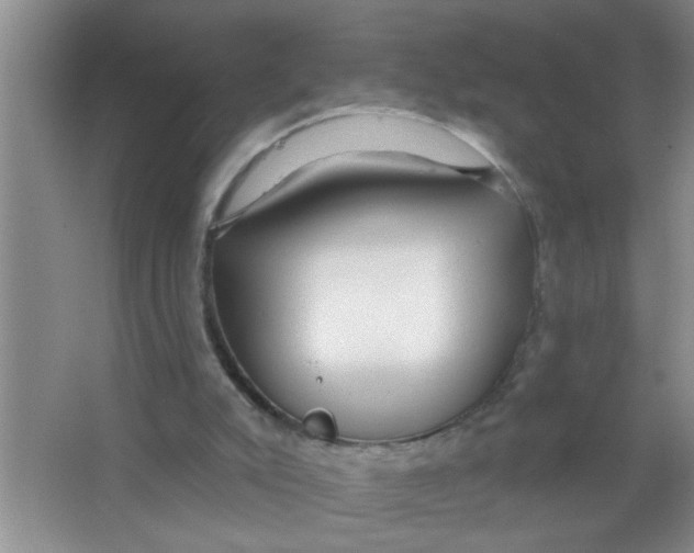 X0000063490007200602101845