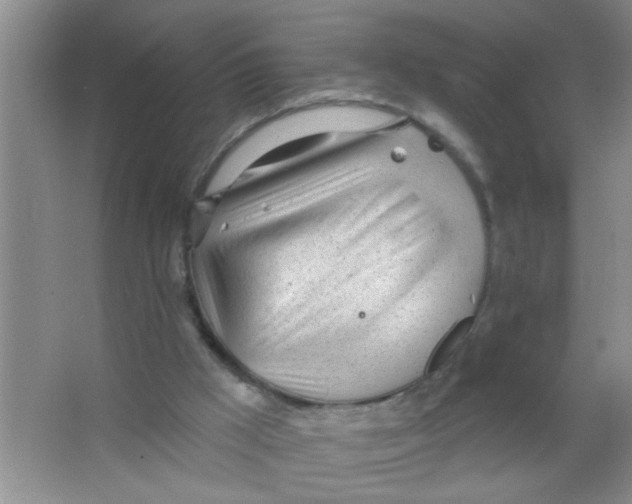 X0000063490009200602101845