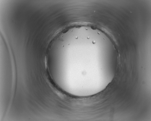 X0000063490013200602101845