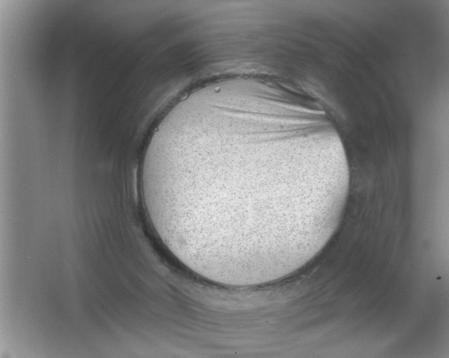 X0000063490014200602101845