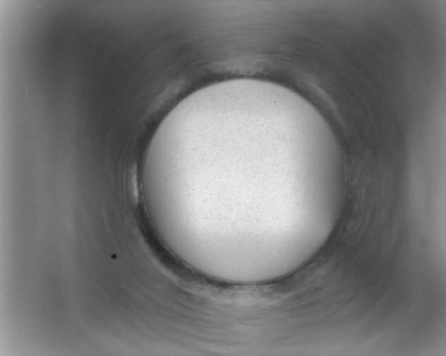 X0000063490020200602101845