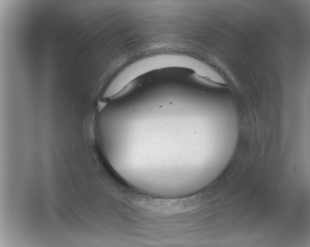 X0000063490023200602101845