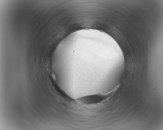 X0000063490031200602101845