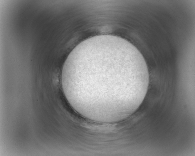 X0000063490032200602101845