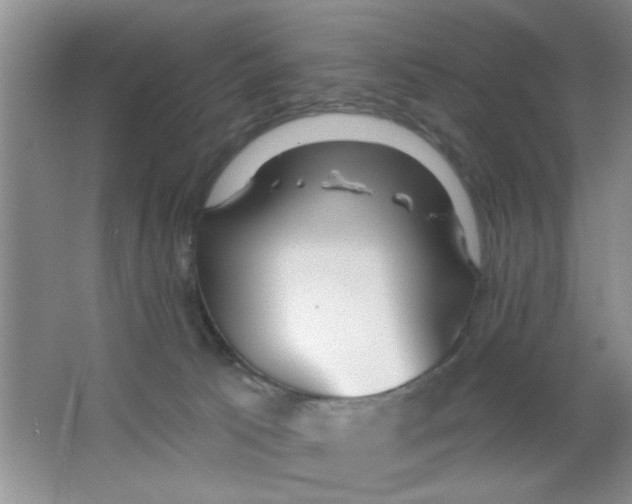 X0000063490033200602101845