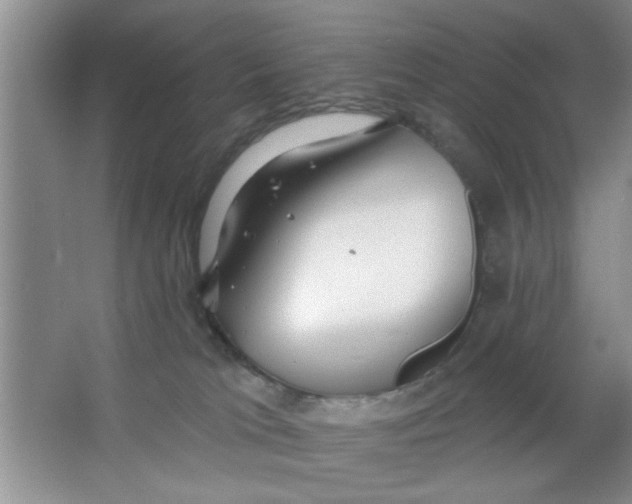 X0000063490037200602101845