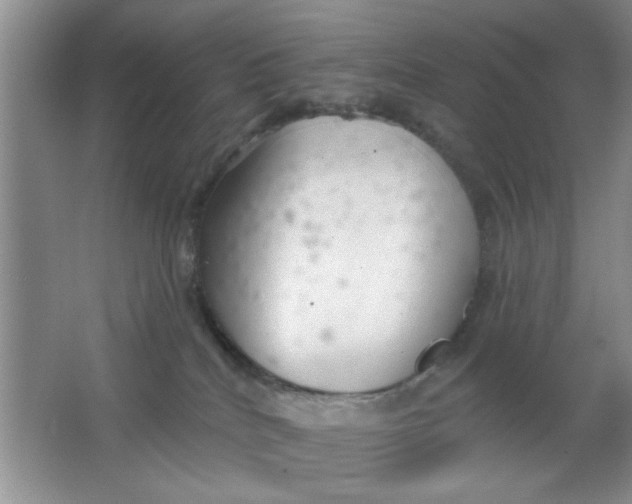 X0000063490040200602101845