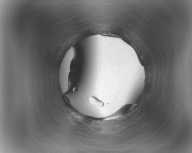 X0000063490041200602101844