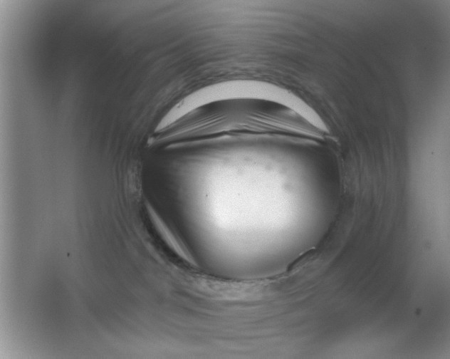 X0000063490044200602101844