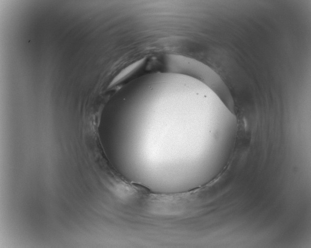 X0000063490045200602101844