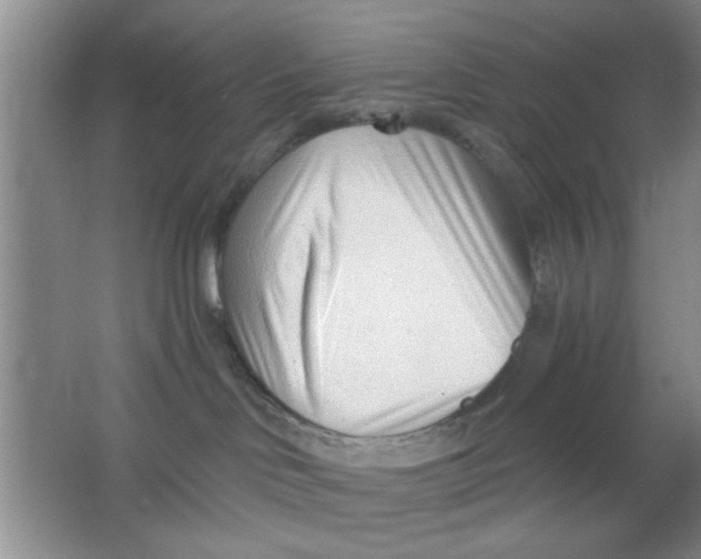 X0000063490046200602101844