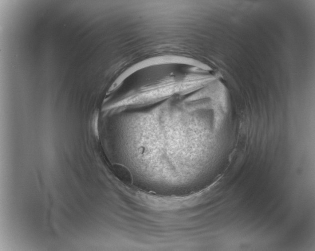 X0000063490047200602101844