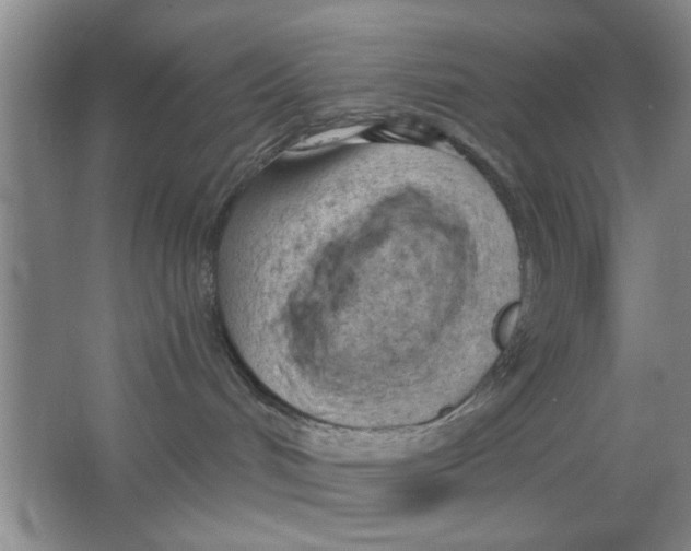 X0000063490048200602101844