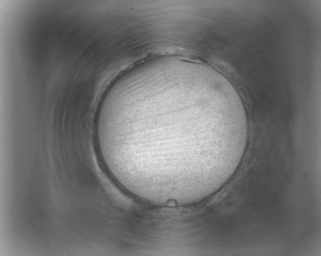 X0000063490049200602101844