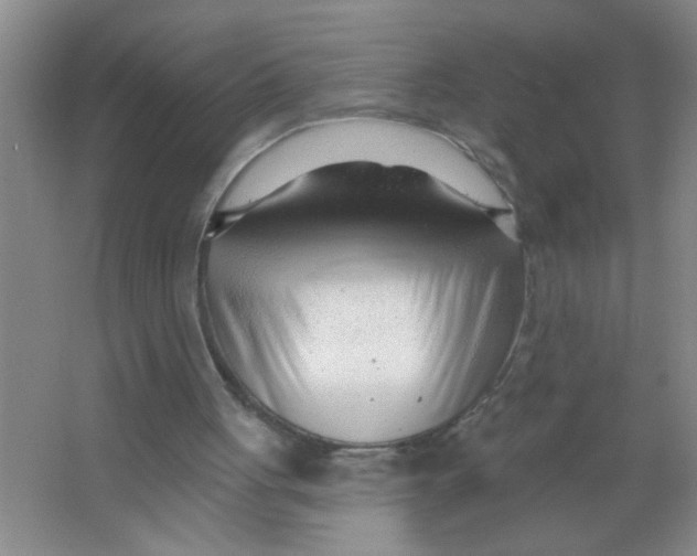 X0000063490051200602101844