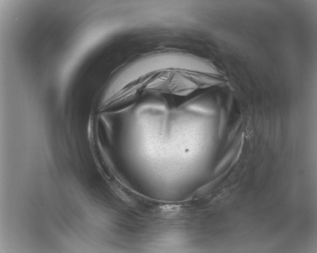 X0000063490052200602101844