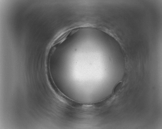 X0000063490055200602101844