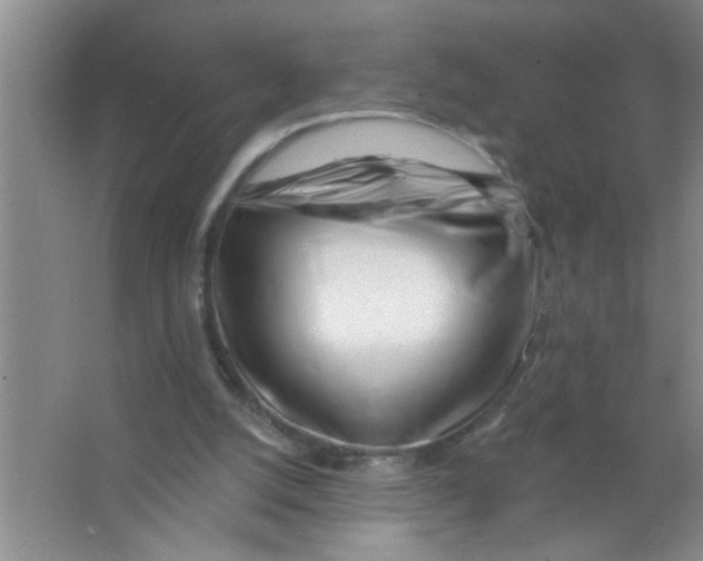 X0000063490056200602101844