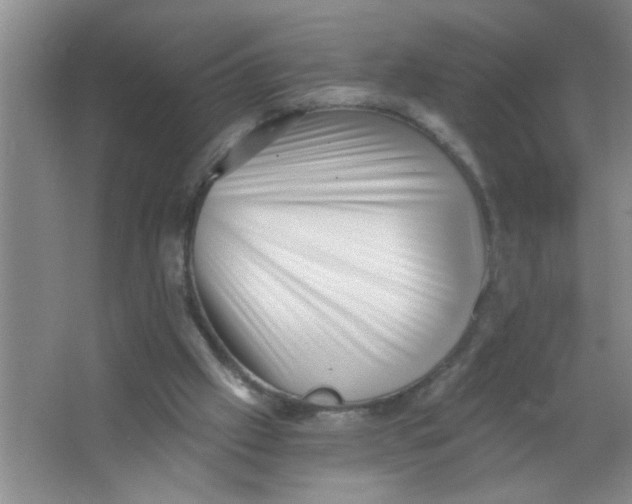 X0000063490057200602101844