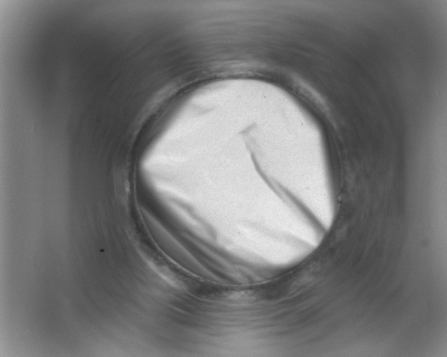 X0000063490059200602101844